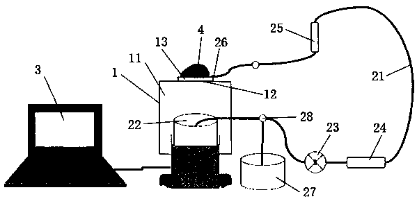 Liver perfusion method for separating rat liver cells and perfusion apparatus of method