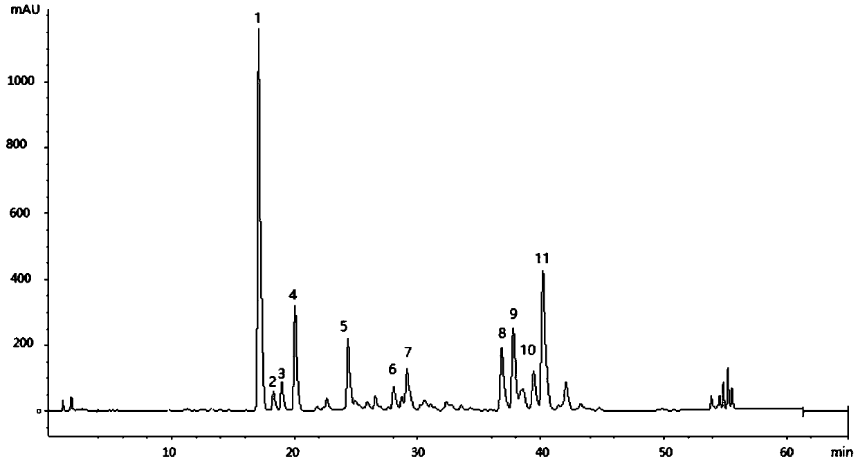 Method for establishing fingerprints of schisandra chinensis medicinal materials and erigeron breviscapus pulse-activating capsules