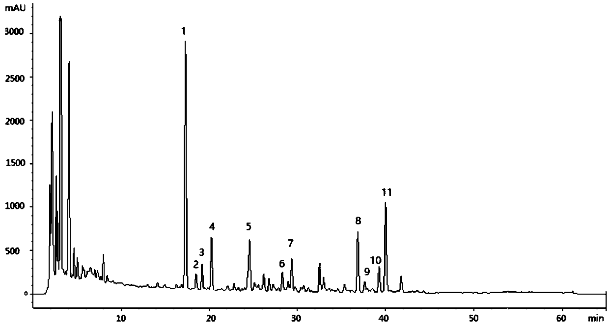 Method for establishing fingerprints of schisandra chinensis medicinal materials and erigeron breviscapus pulse-activating capsules