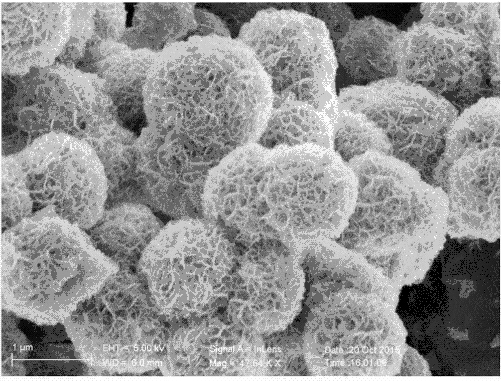 Preparation method for molybdenum disulfide/carbon microsphere negative electrode material of lithium ion battery