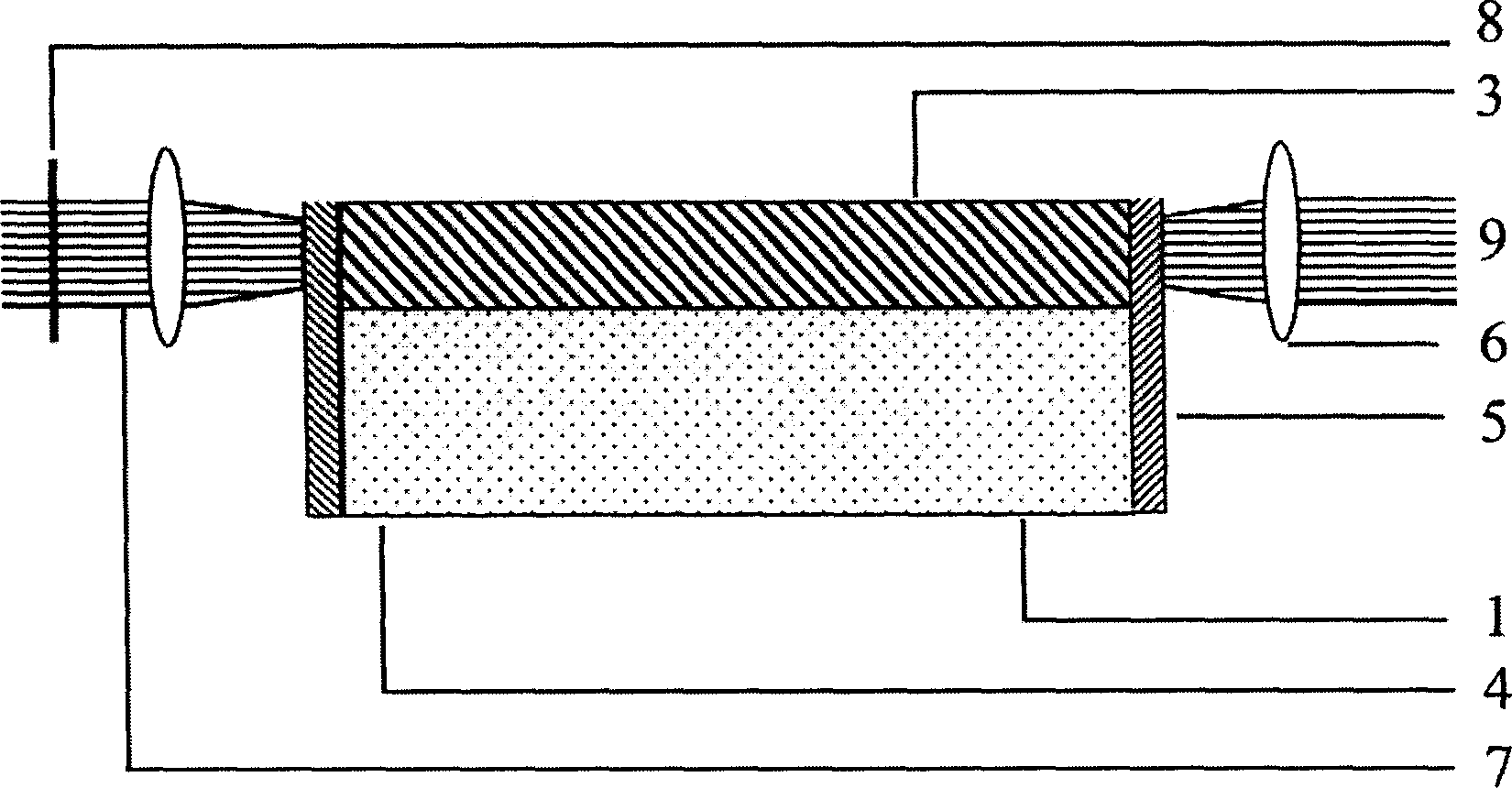 Method for preparing neodymium doped yttrium vanadate crystal waveguide laser by ion implantation