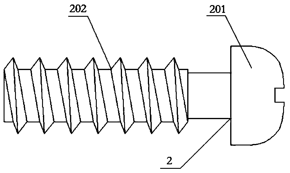 Buckle type connecting structure of solid wood or raw wood furniture