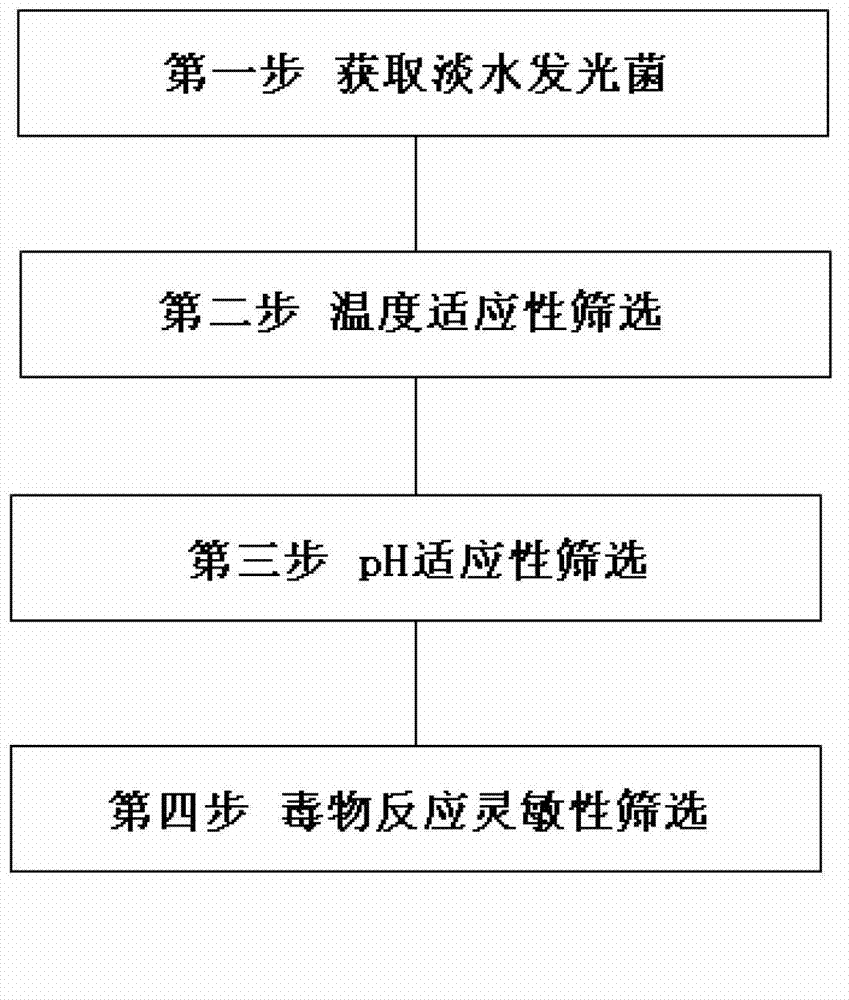 Vibrio qinghaiensis Q67B and separation, screening and application thereof