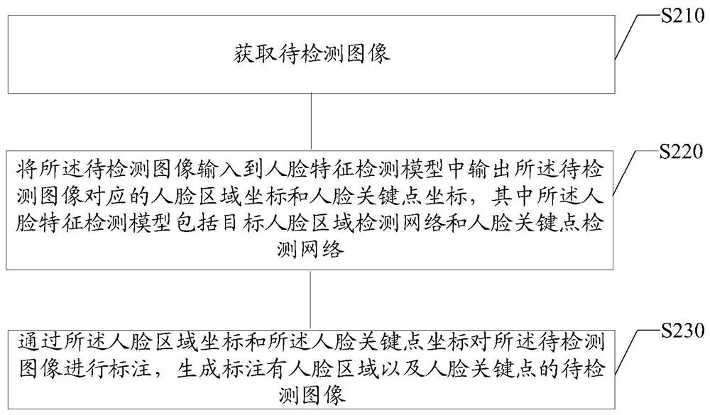 Face feature detection method and device, medium and electronic equipment