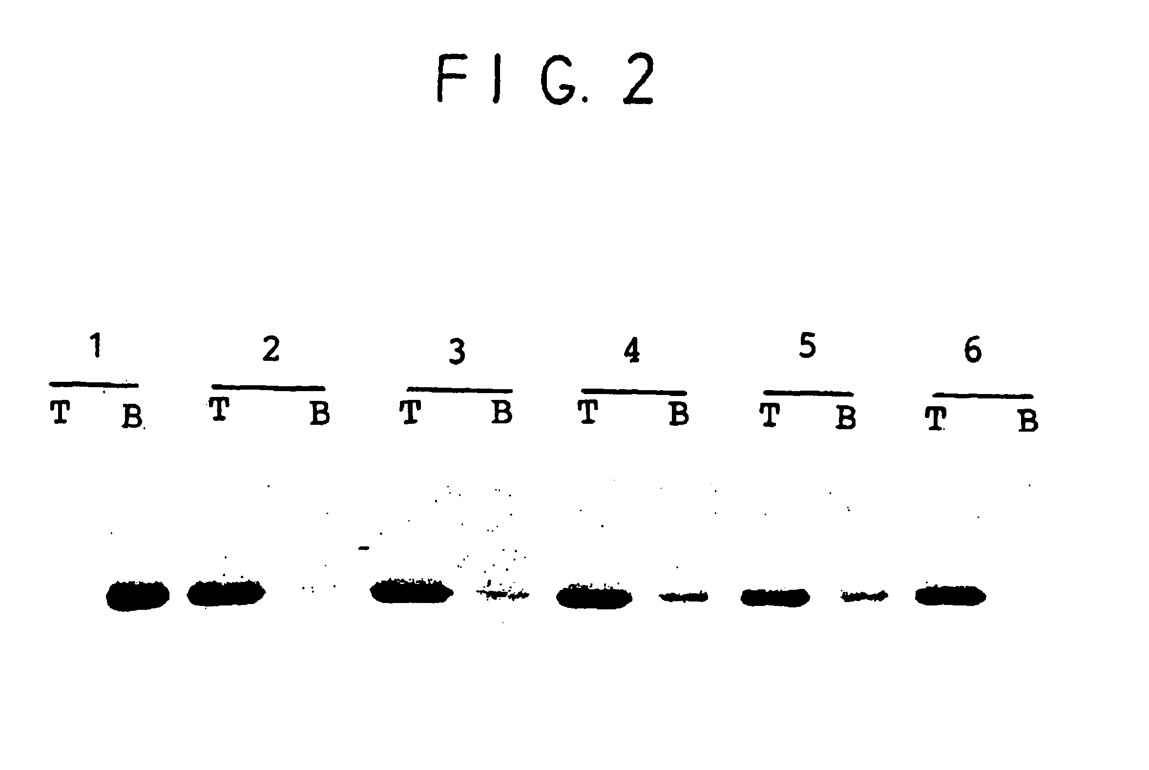 In vitro method for disassembly/reassembly of papillomavirus virus-like particles (VLPS), homogeneous vlp and capsomere compositions produced by said methods; use thereof as vehicle for improved purification, and delivery of active agents