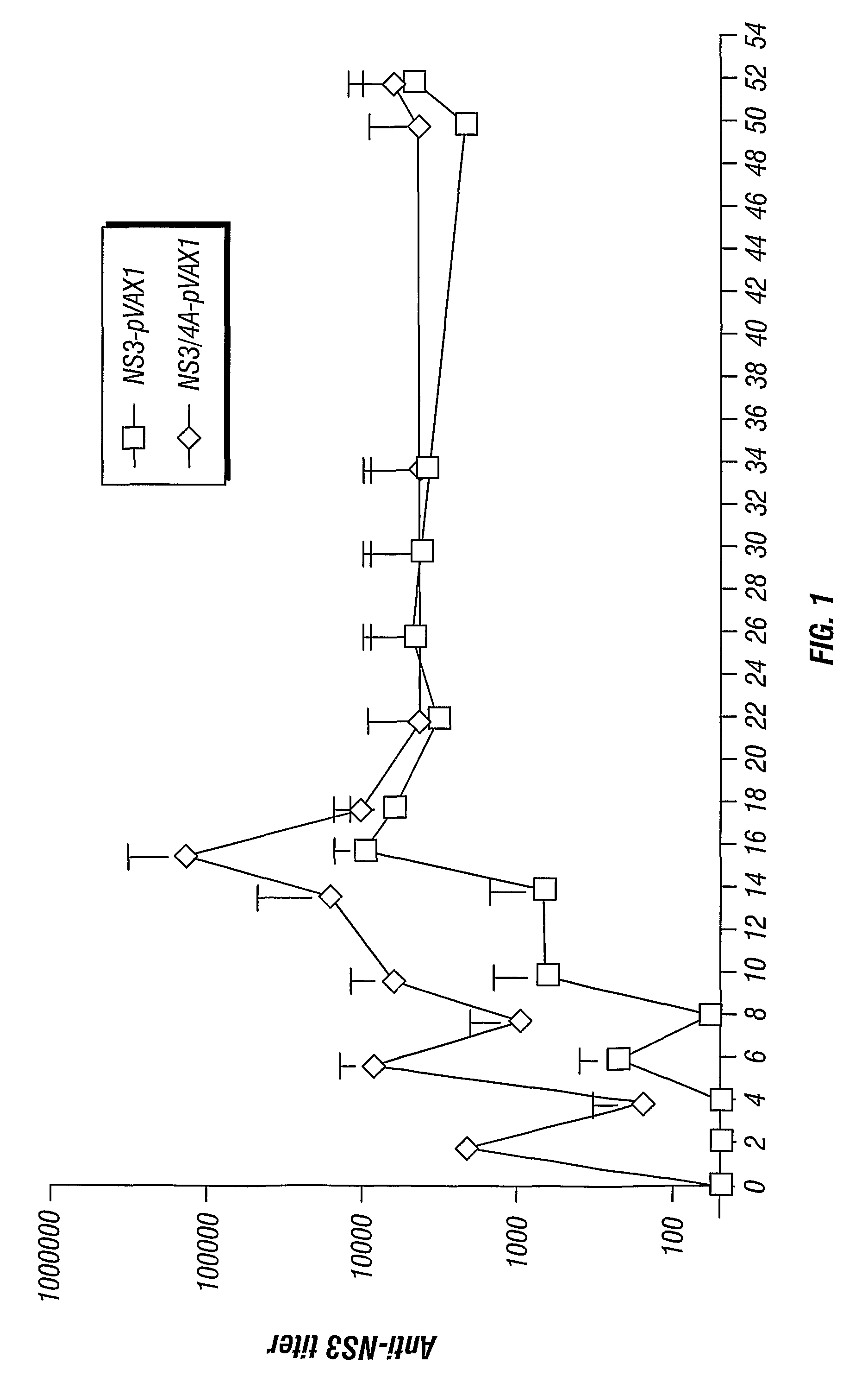 Hepatitis C virus non-structural NS3/4A fusion gene