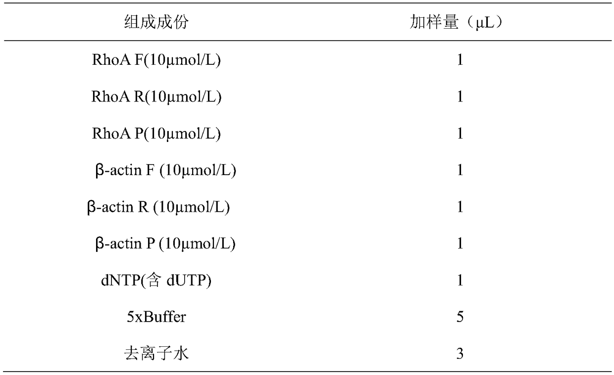 Gastric carcinoma diagnosis kit combining RhoA signal path monitoring with microRNAs (micro Ribonucleic Acids) and application thereof