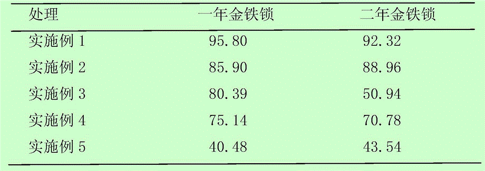 Cultivation method for increasing psammosilene tunicoides emergence rate