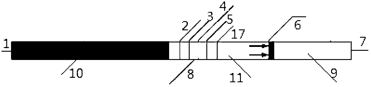 Test strip for semi-quantitative detection of microalbuminuria