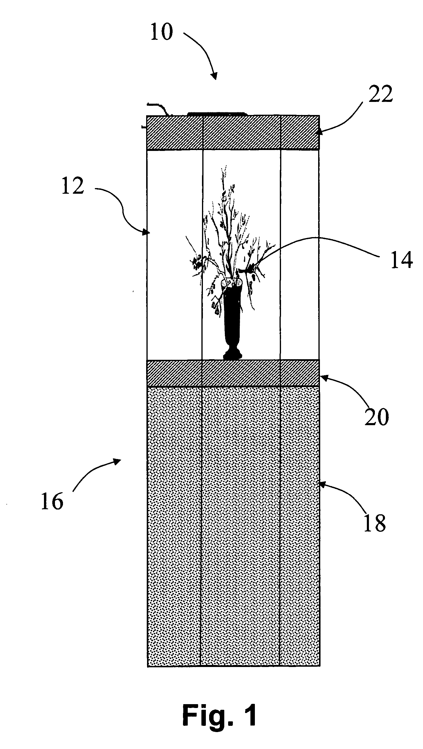 Sanitizing container and display