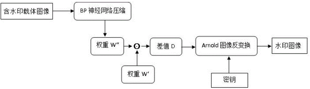 Image watermark embedding and extracting method based on back propagation (BP) neural network compressed domain