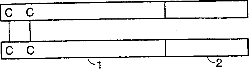 Expression and export of interferon-alpha proteins as Fc fusion proteins