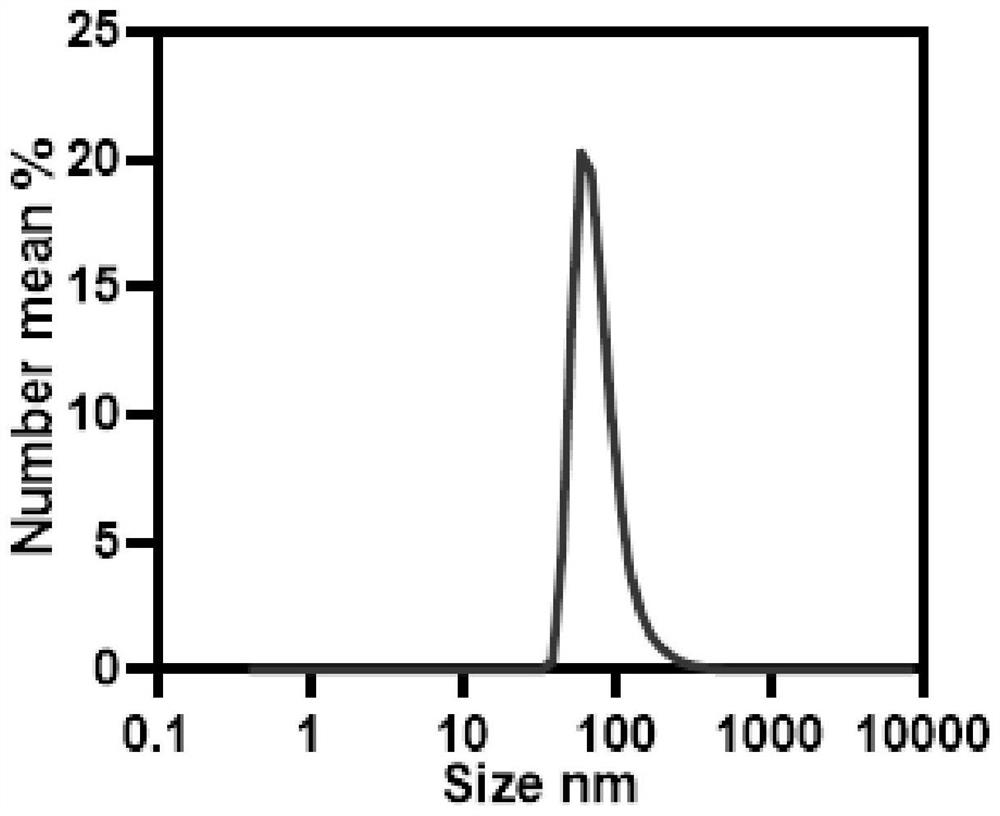 Preparation method of copper porphyrin-folate liposome nanoparticles and application thereof as sound-sensitive agent