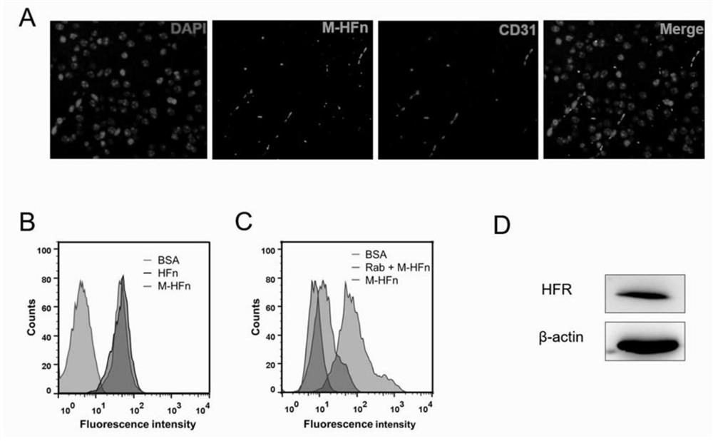 Novel reagent and method for treating malignant cerebral malaria