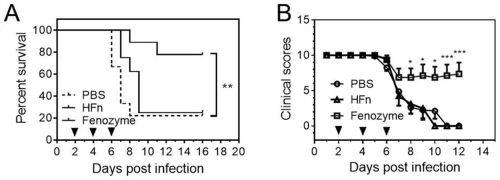 Novel reagent and method for treating malignant cerebral malaria