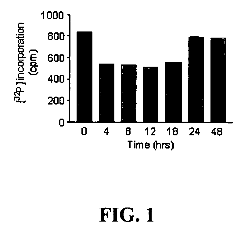 Compositions and methods for reversal of drug resistance