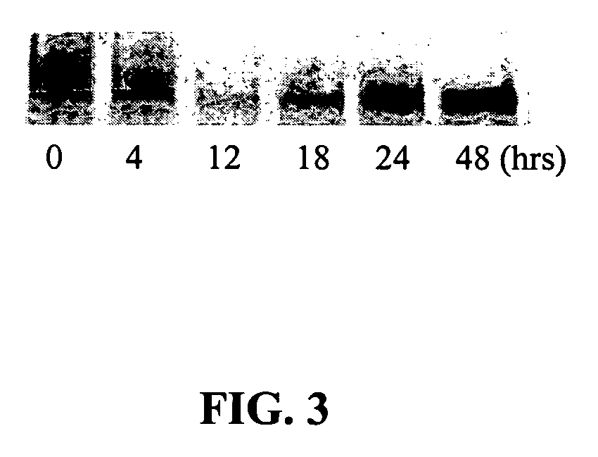 Compositions and methods for reversal of drug resistance