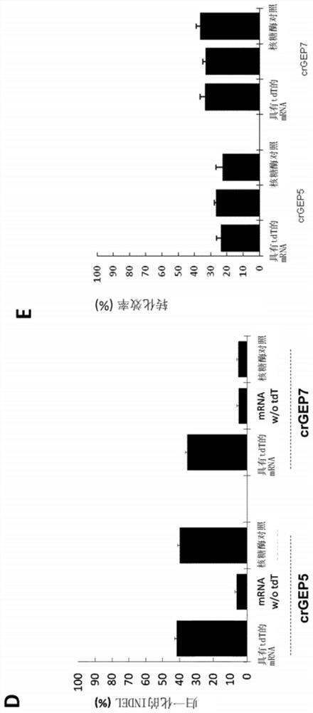 Optimized plant CRISPR/CPF1 systems