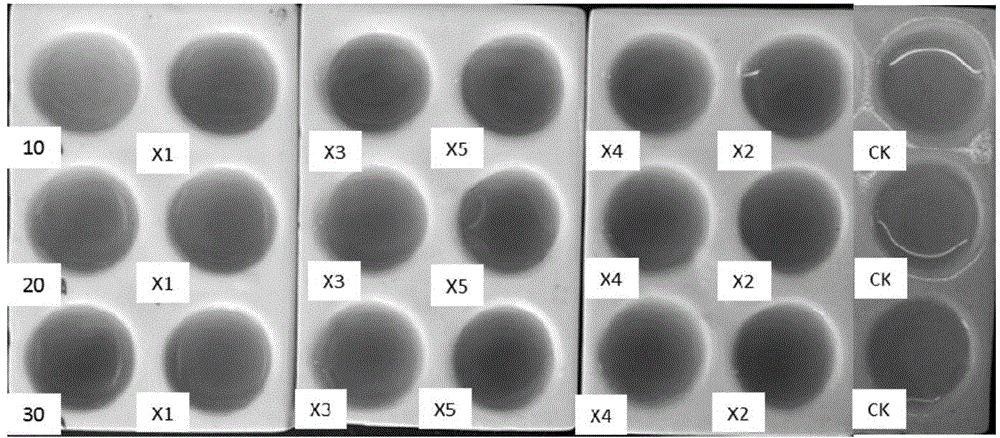 Bacillus megaterium strain X3 and preparation method and application thereof