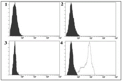 Magnetic bead immunodetection kit for human colorectal cancer tumor stem cell markers CD44 and CD133