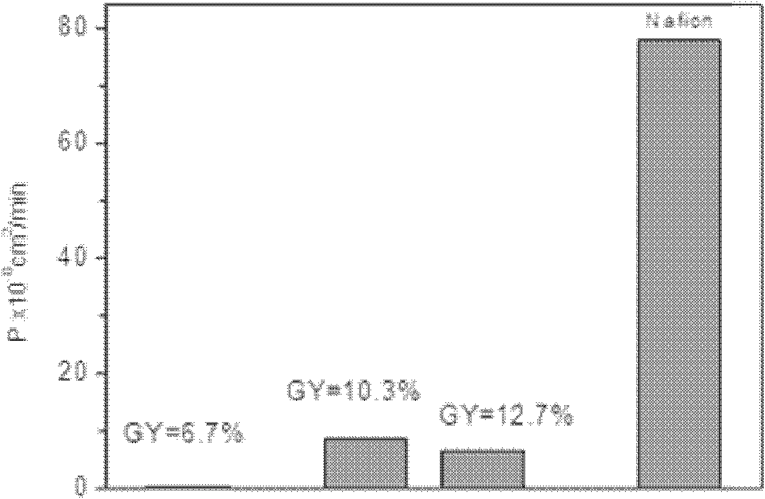 Preparation method of amphoteric ion exchange membrane