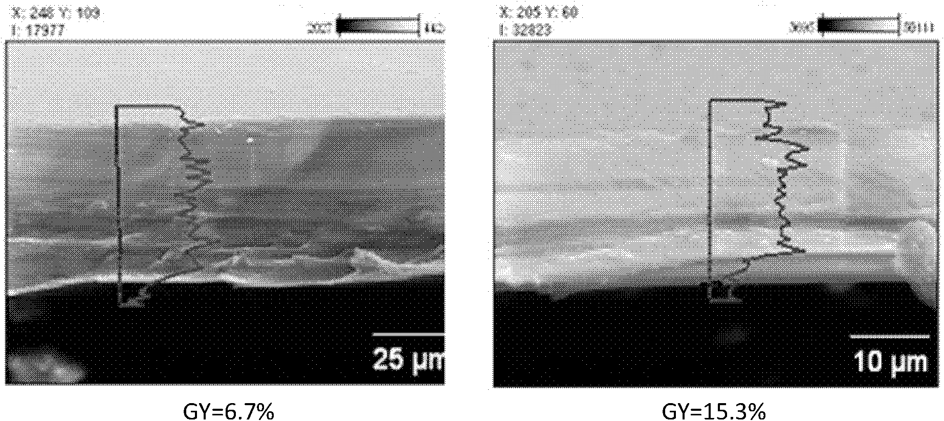 Preparation method of amphoteric ion exchange membrane