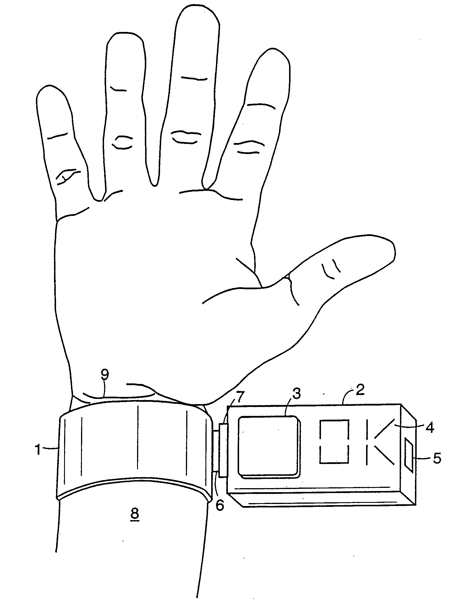 Methods for the assessment of neuromuscular function by F-wave latency