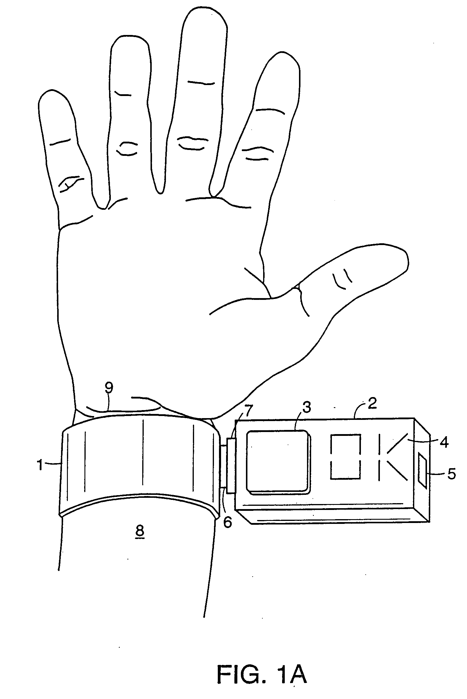 Methods for the assessment of neuromuscular function by F-wave latency