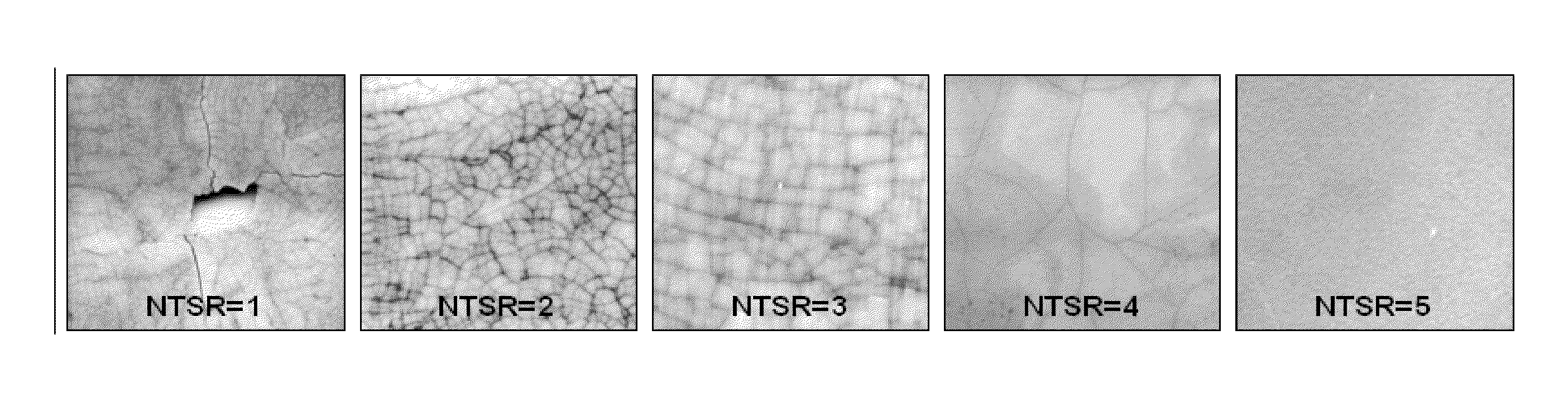 Porous Pyrolysis Reactor Materials And Methods