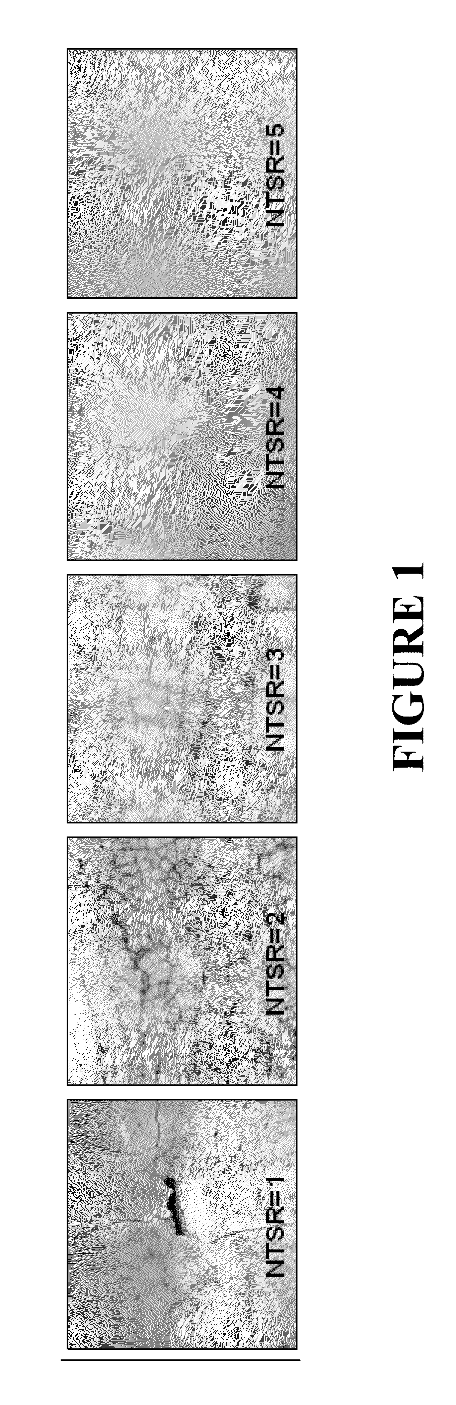 Porous Pyrolysis Reactor Materials And Methods