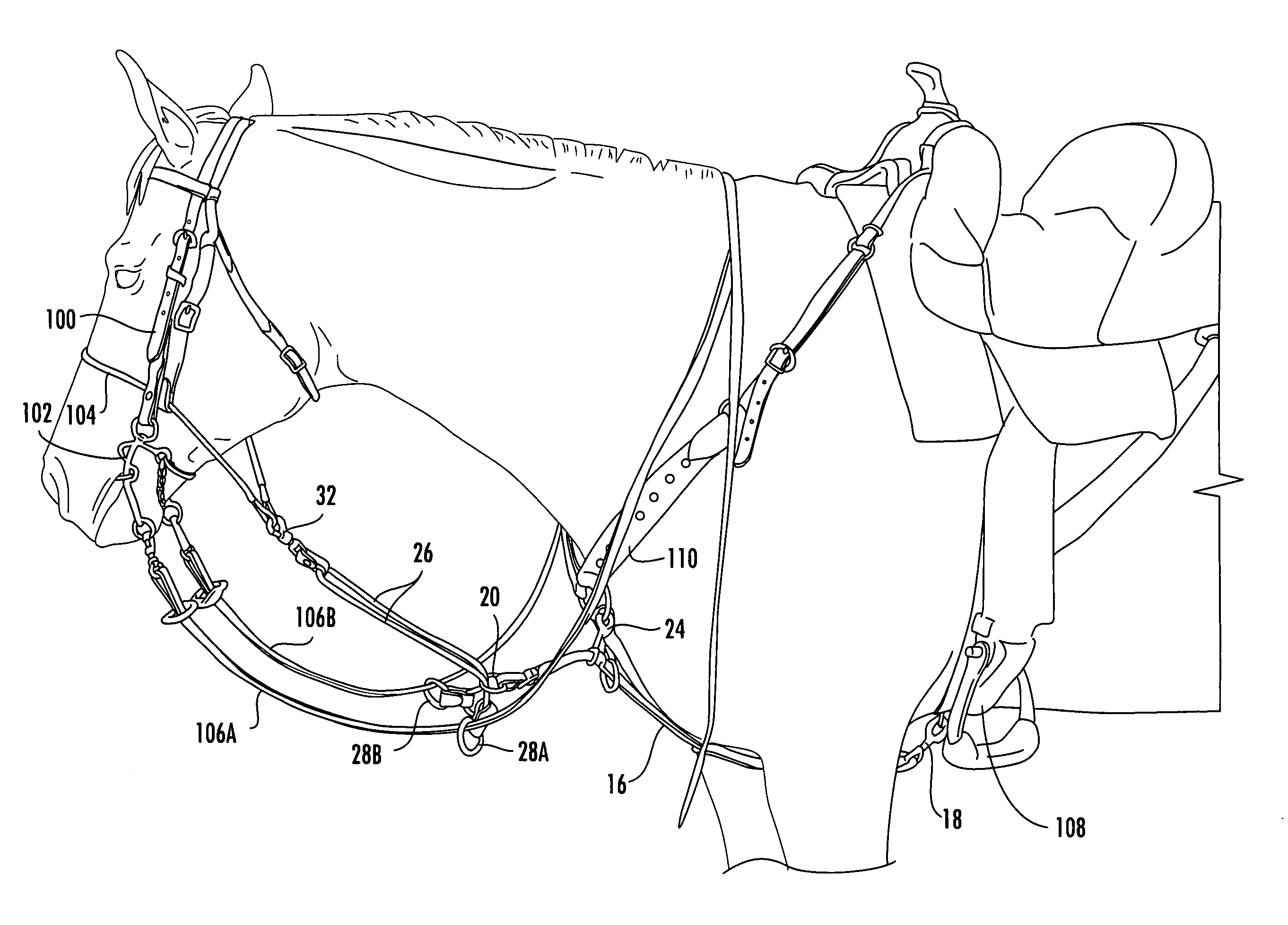 Equine Training device