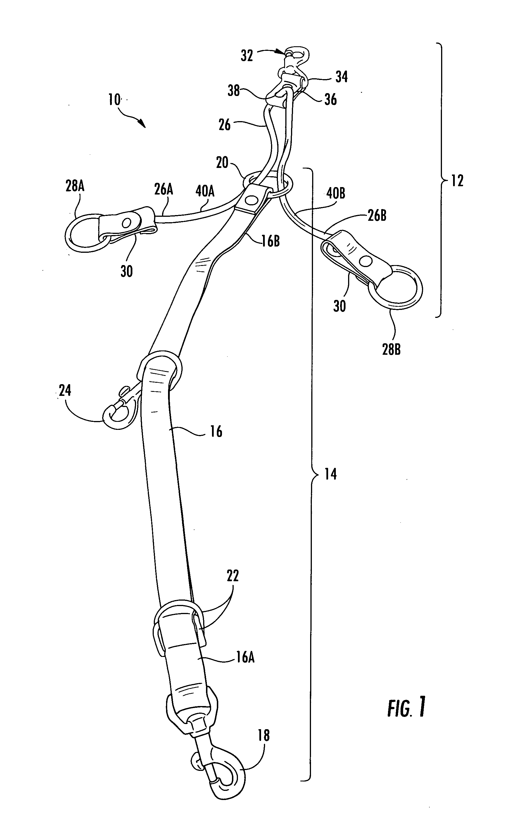 Equine Training device