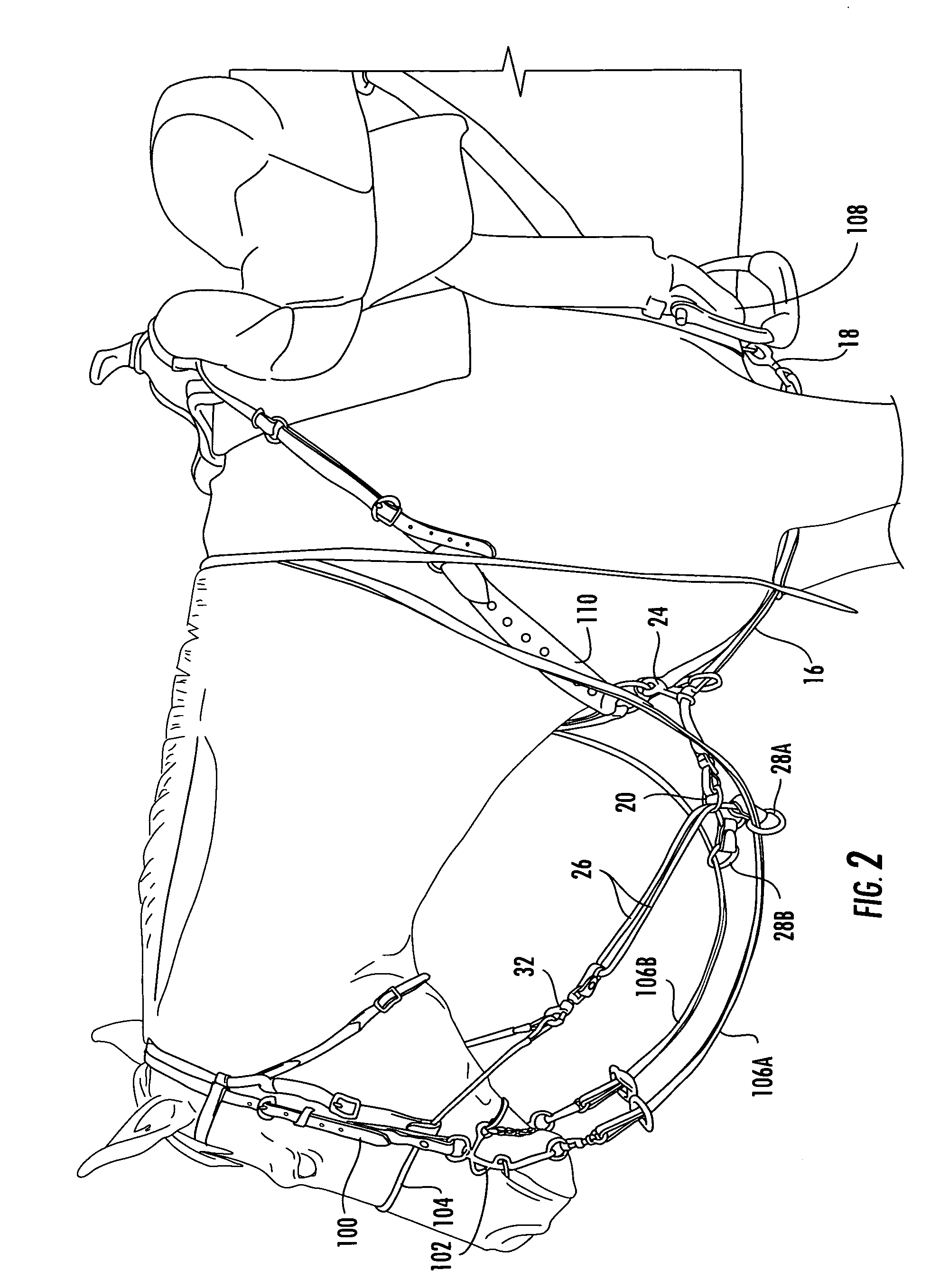 Equine Training device