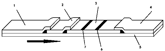 A kind of immunochromatography test paper assembled with chitin or chitosan fiber membrane as colloidal marker pad and preparation method thereof