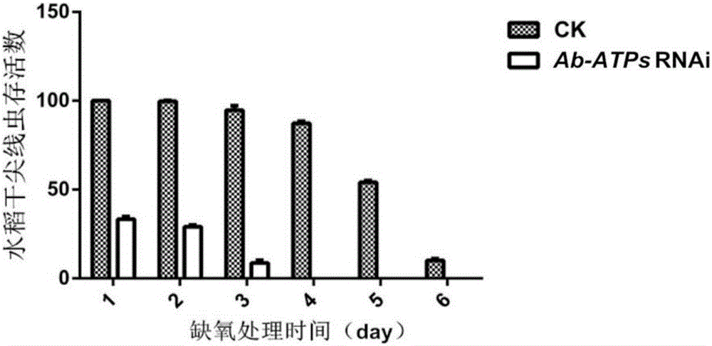 ATP synthetase gene for prevention and control of aphelenchoides besseyi christie, and primers and application thereof