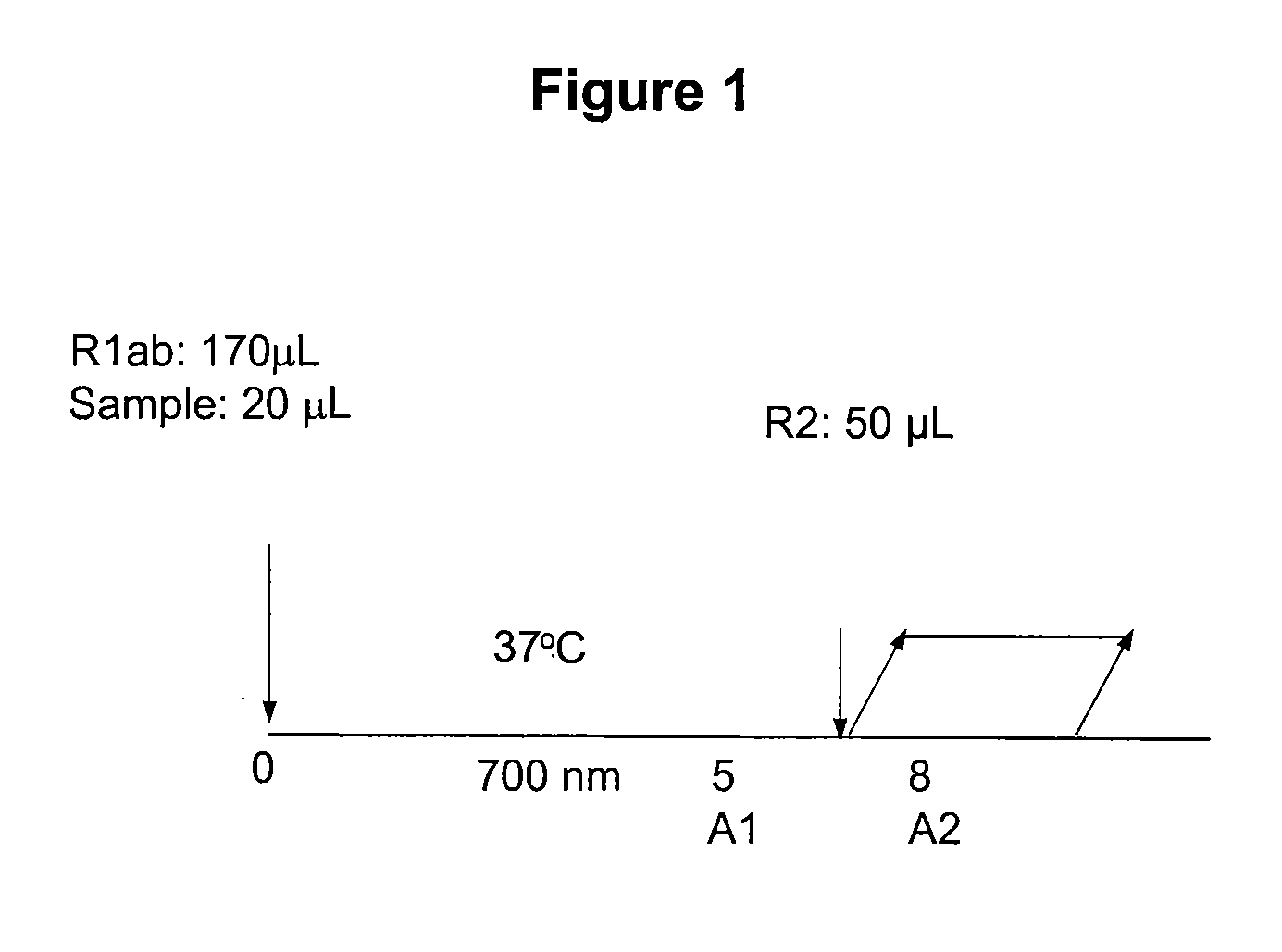 Methods for assaying percentage of glycated hemoglobin