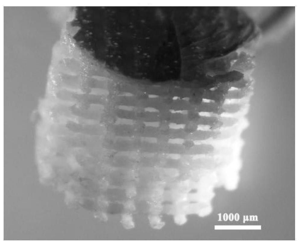 Porous scaffold for guiding oral soft and hard tissue integrated repair and preparation method thereof