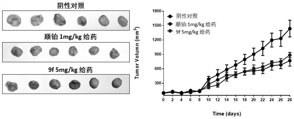 A novel quinazolinone compound and its preparation method and application