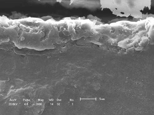 Solution formula and process of preparing tantalum-containing coating on magnesium and magnesium alloy surface by micro-arc oxidation