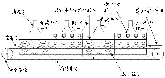 Method and control system for drying silkworm cocoons by microwaves and far infrared waves