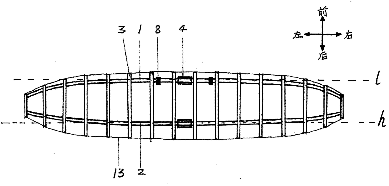 Human flapping wing parachute