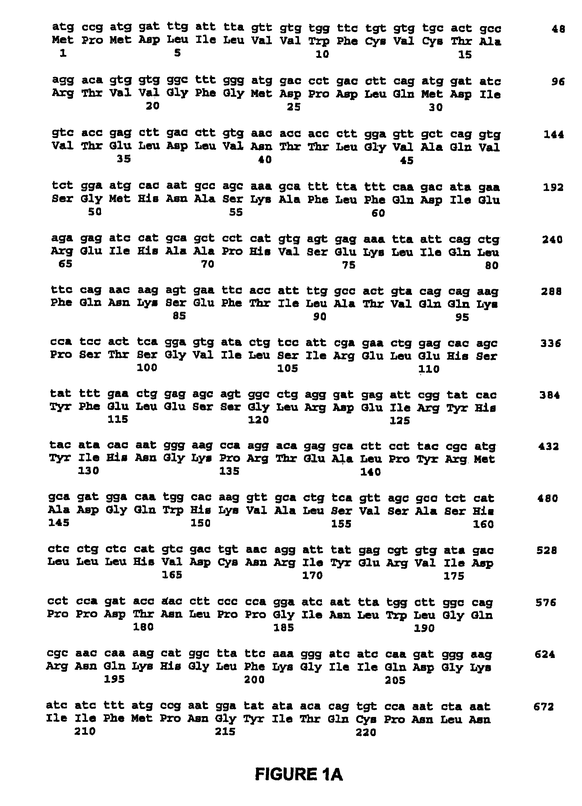 Nell peptide expression systems and bone formation activity of nell peptide