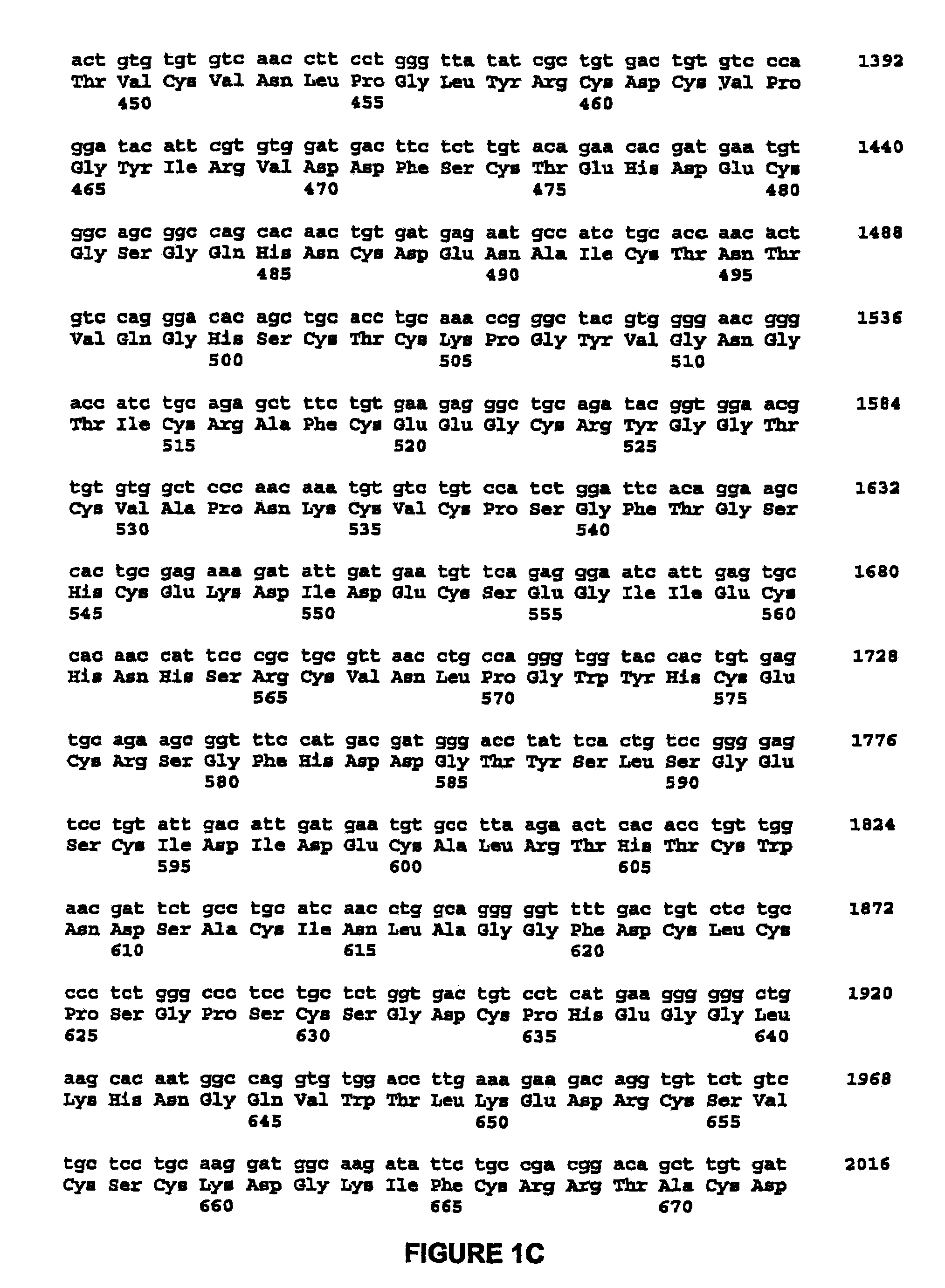 Nell peptide expression systems and bone formation activity of nell peptide