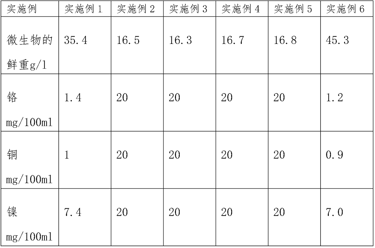 Method for preparing camellia oleifera refined oil