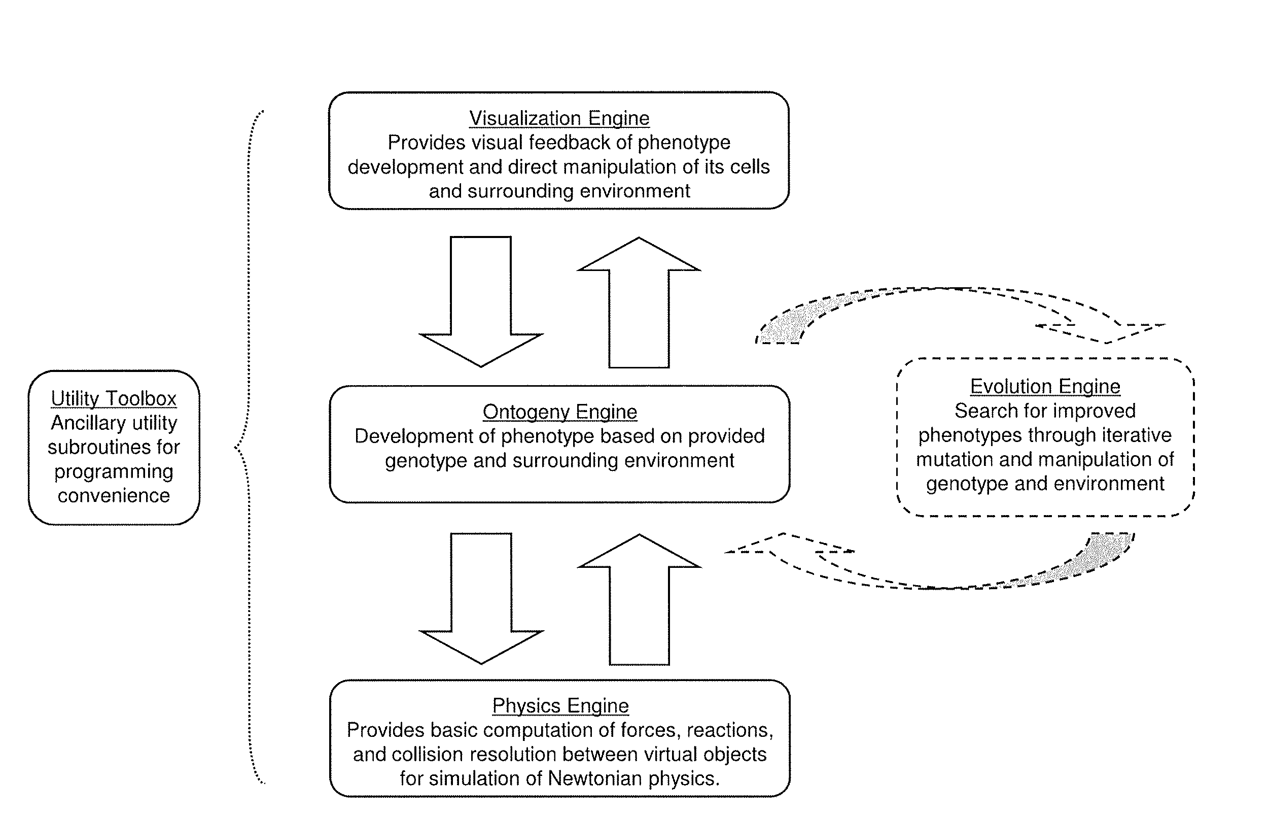 Virtual tissue with emergent behavior and modeling method for producing the tissue