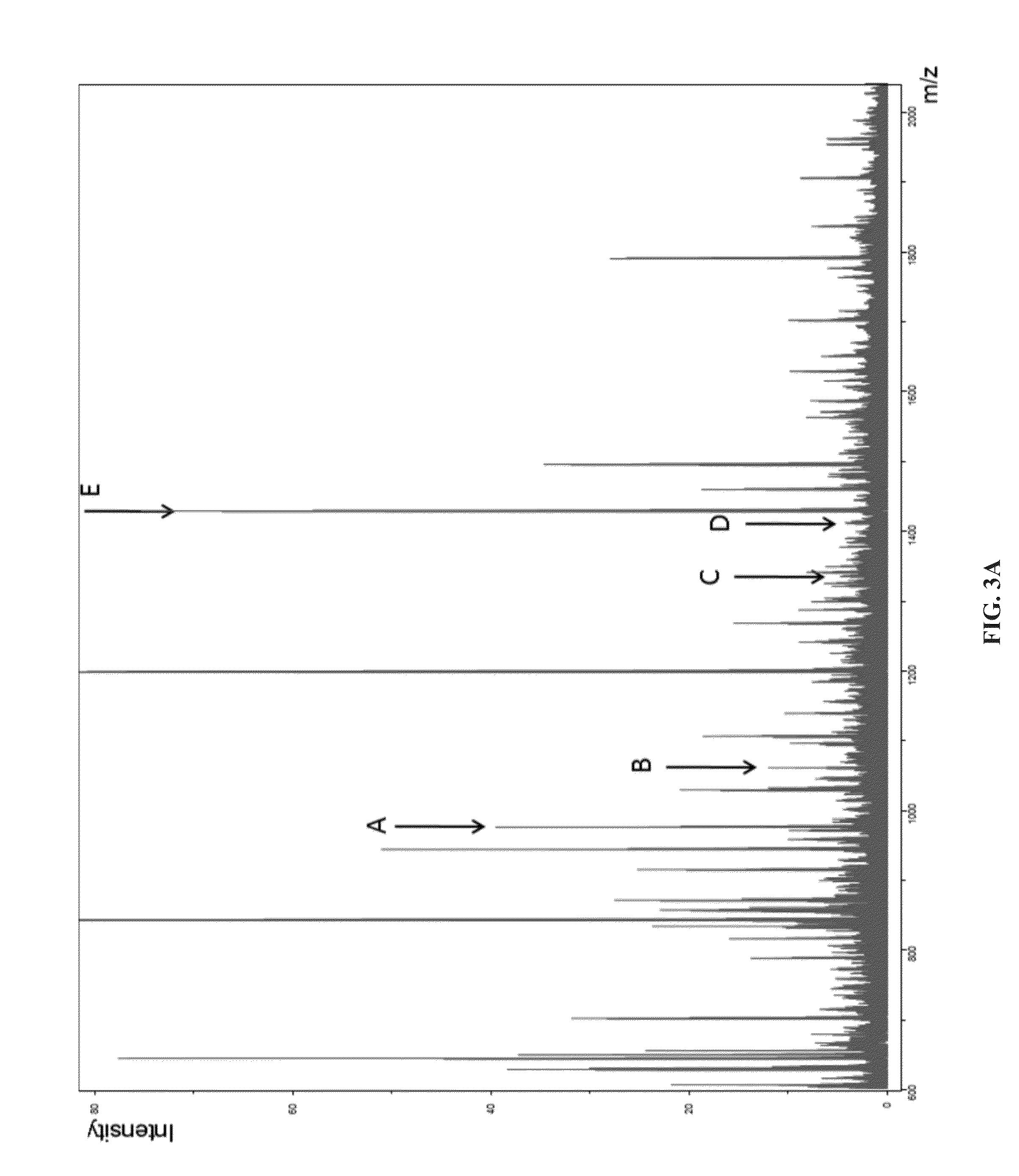 Method for differentiating spitz nevi from spitzoid malignant melanoma