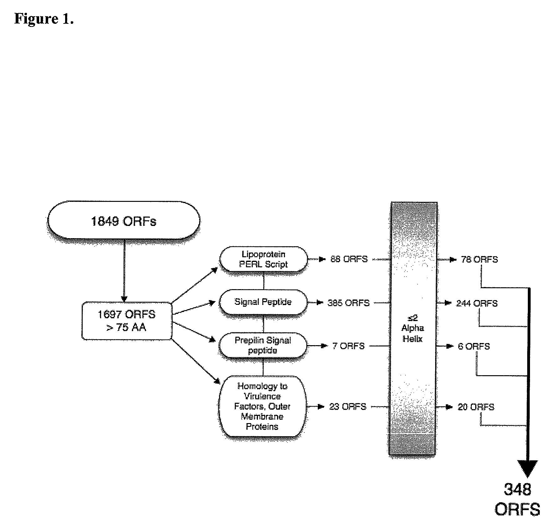 Method for stimulating immune response against Moraxella catarrhalis