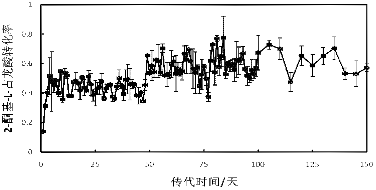 Method for increasing output of 2-keto-L-gulonic acid by strengthening mutual effect of two bacteria