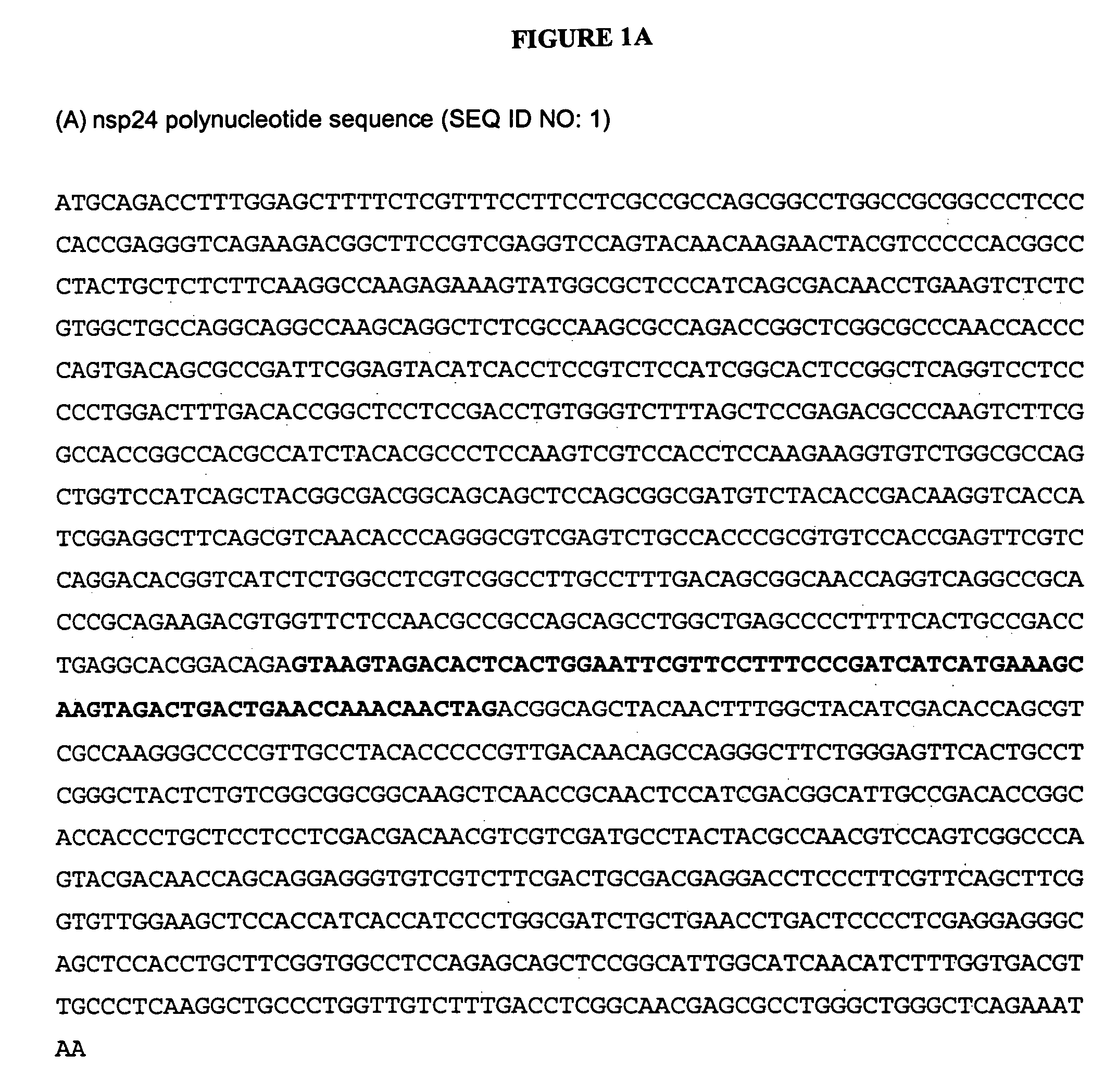 Acid fungal protease in fermentation of insoluble starch substrates