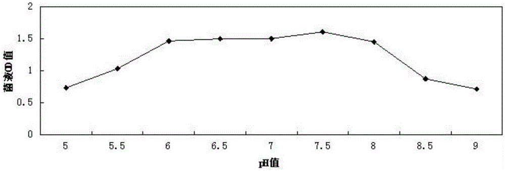 Low-temperature-resistant composite microbial agent used for treating contaminated water, and preparation method and application thereof